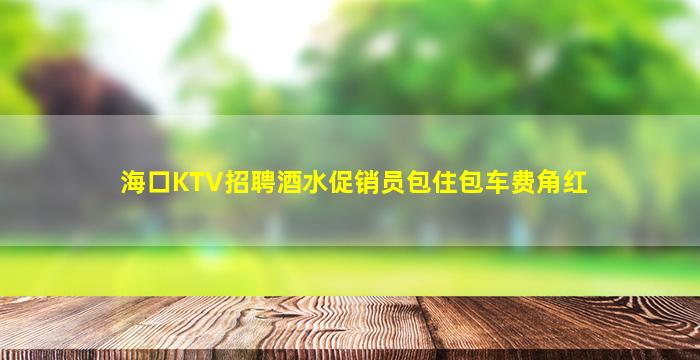 海口KTV招聘酒水促销员包住包车费角红